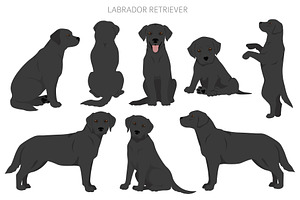 Labrador Retriever Clipart