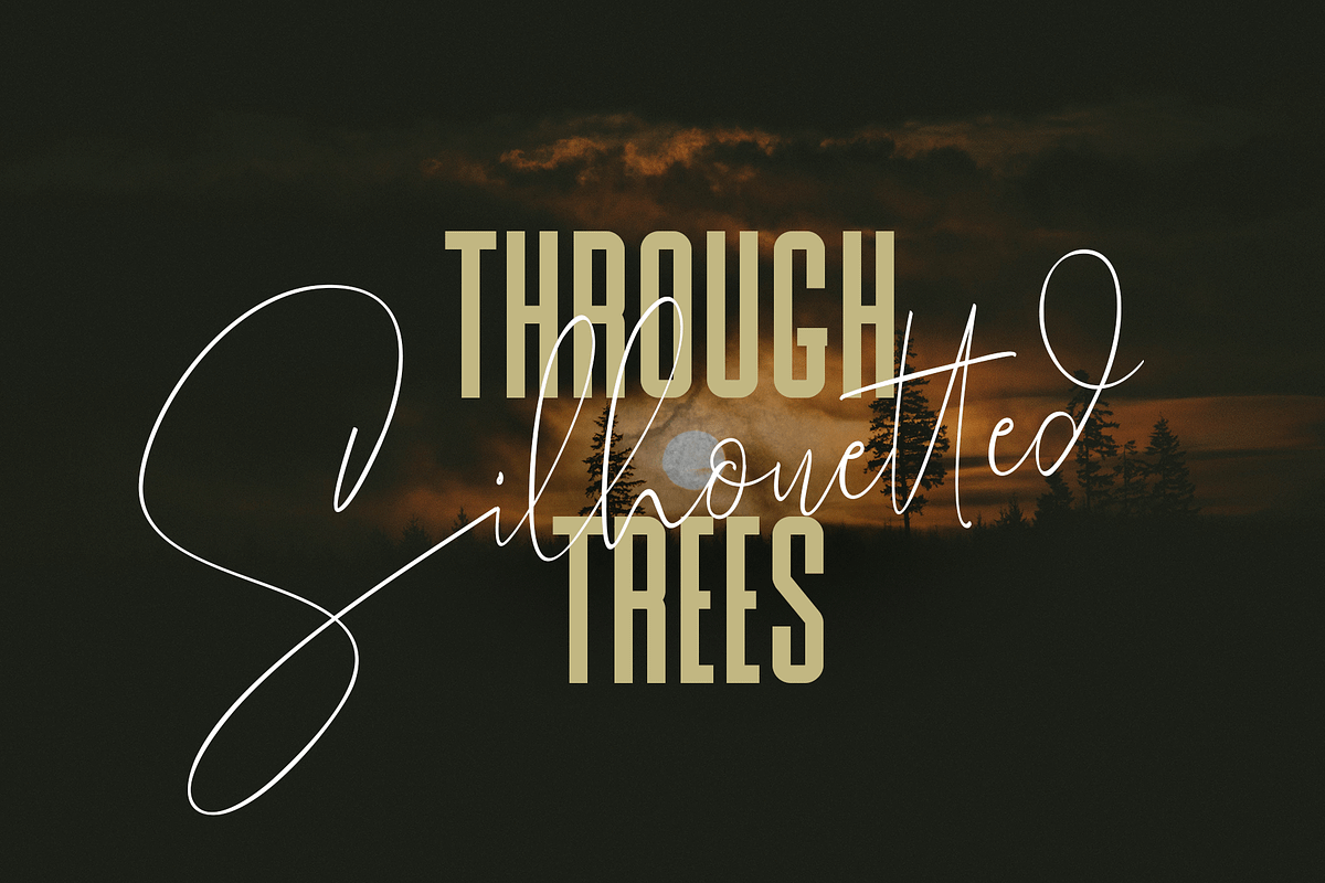 Mustache and Thick Sans, a Script Font by GRAPHICPRESS (Photo 6 of 9)