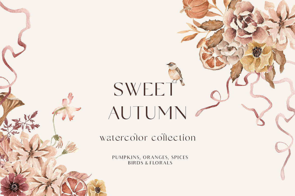 Fall Autumn set- Pumpkins & Florals, a Seasonal Illustration by Grace Noboa Illustrations (Photo 1 of 13)