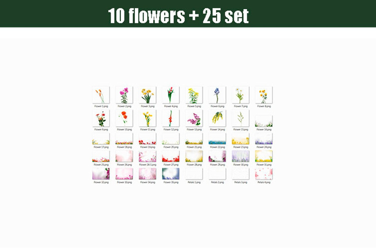 35 Flowers photoshop overlays, a Layer Style Add-On by OverlayBox (Photo 3 of 4)
