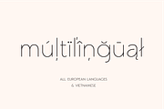 Frankfurt Sans - 8 Font Typeface, a Sans Serif Font by Harmonais Visual (Thumbnail 21 of 23)