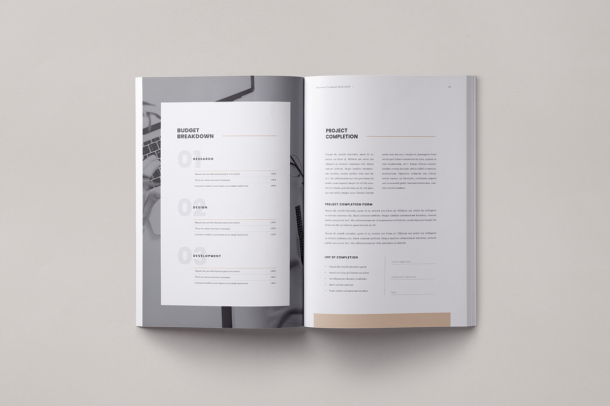 Project Proposal | InDesign, Docx, a Brochure Template by Theme Weavers (Photo 6 of 7)