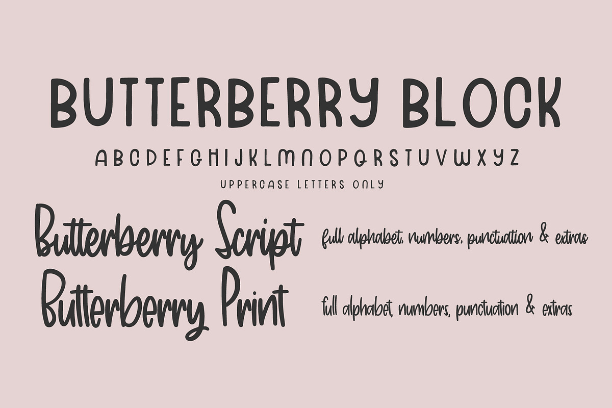 Butterberry Font Trio, a Script Font by OnTheSpotStudio (Photo 2 of 4)
