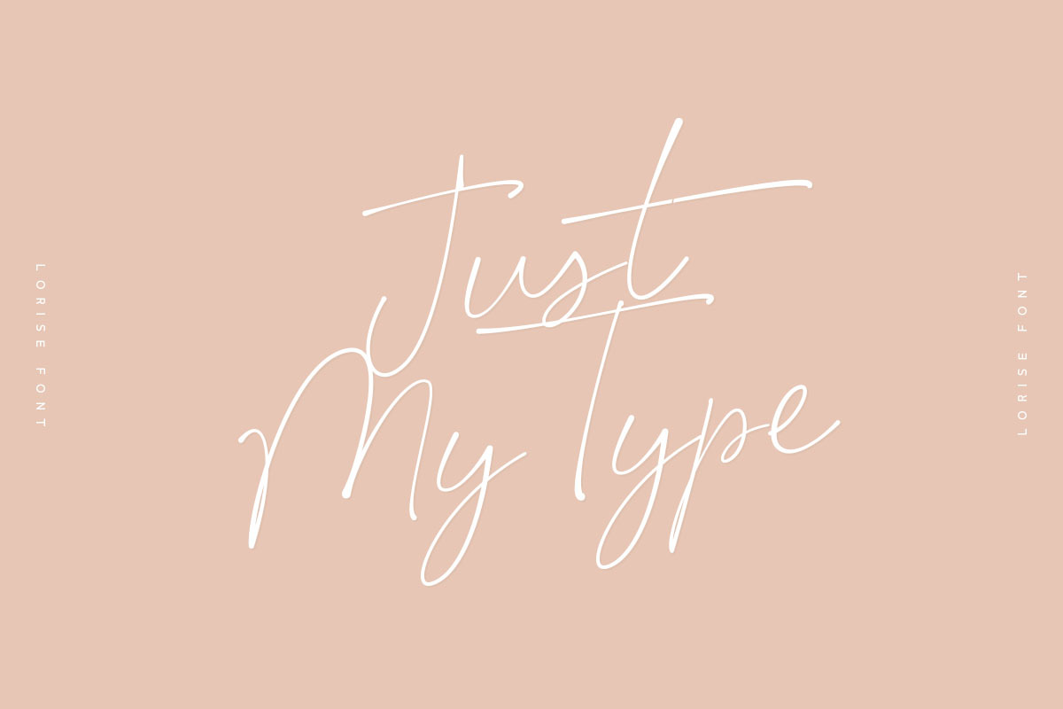 Lorise Font, a Sans Serif Font by vuuuds (Photo 4 of 21)