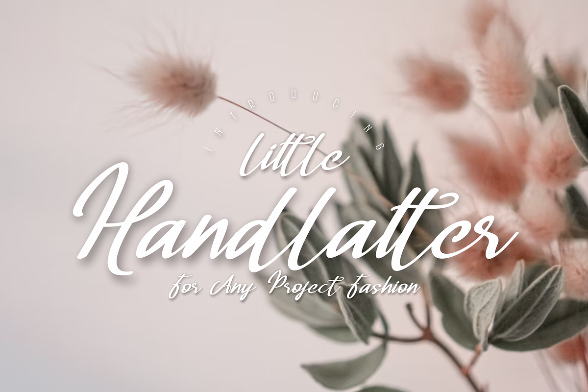 Handlatter Little Font, a Script Font by ponuppo (Photo 1 of 3)
