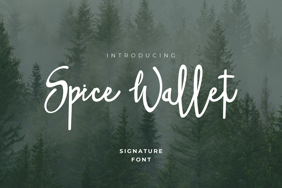 Spice Wallet Handwritten Font