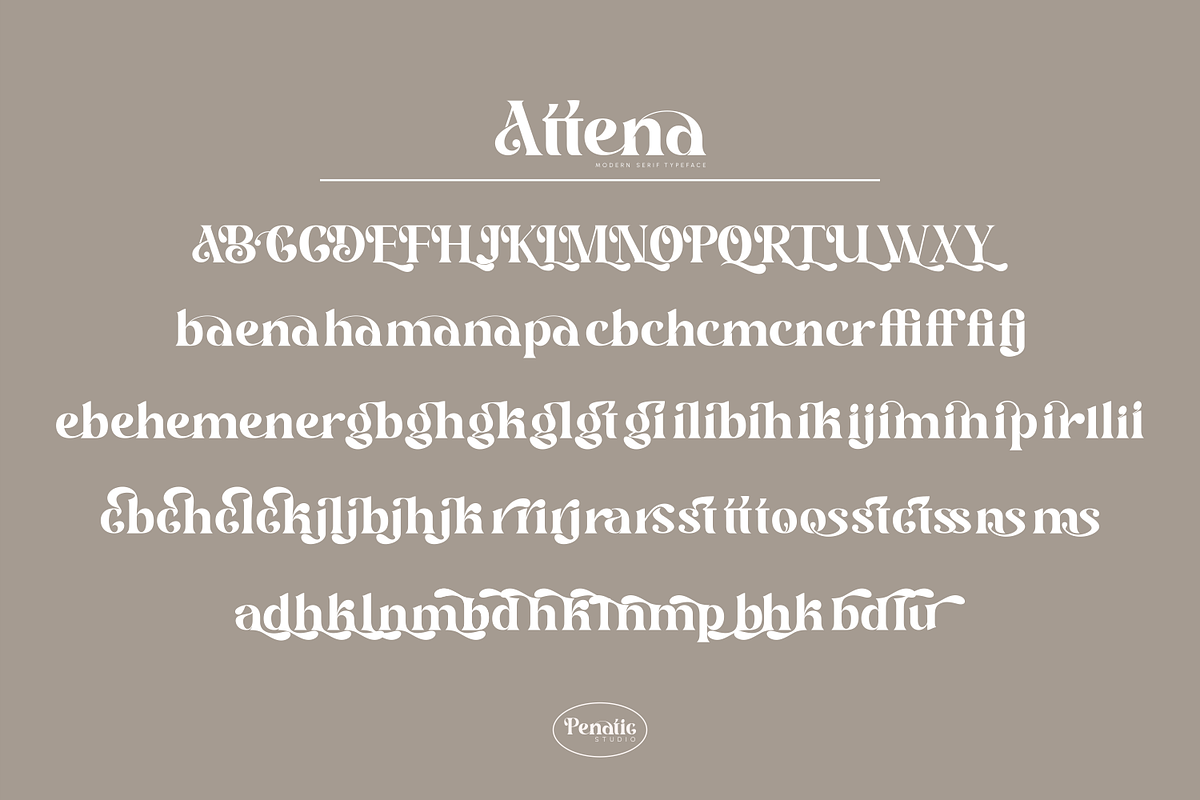 Attena _ modern serif typeface, a Serif Font by Penatic Studio (Photo 9 of 10)