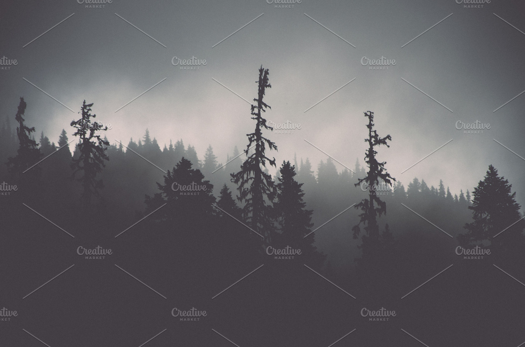 Mist featuring mist, fog, and trees, a Nature Photo by Jo Dooher Photography