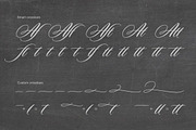 Duende Script Set, a Script Font by Aerotype (Thumbnail 12 of 14)