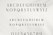 Finley Glam Serif, a Serif Font by Creative Foundry (Thumbnail 6 of 8)