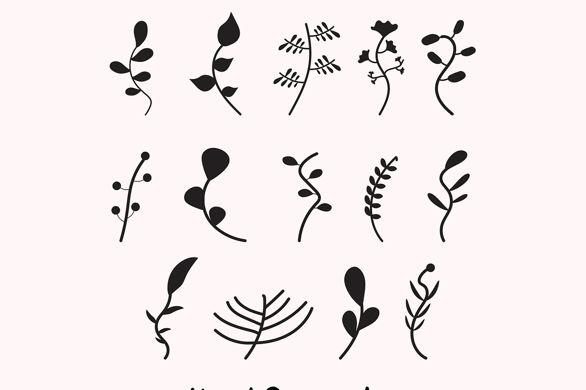 Hand Drawn Leaf Set Vector, an Illustration by M9 Design (Photo 1 of 8)