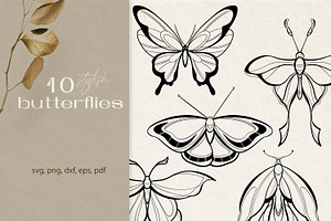 Butterfly clipart svg png dxf, an Animal Illustration by DamriNa art