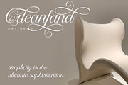 Helyna Elegant Script Font, a Script Font by RantautypeStudio (Thumbnail 5 of 19)