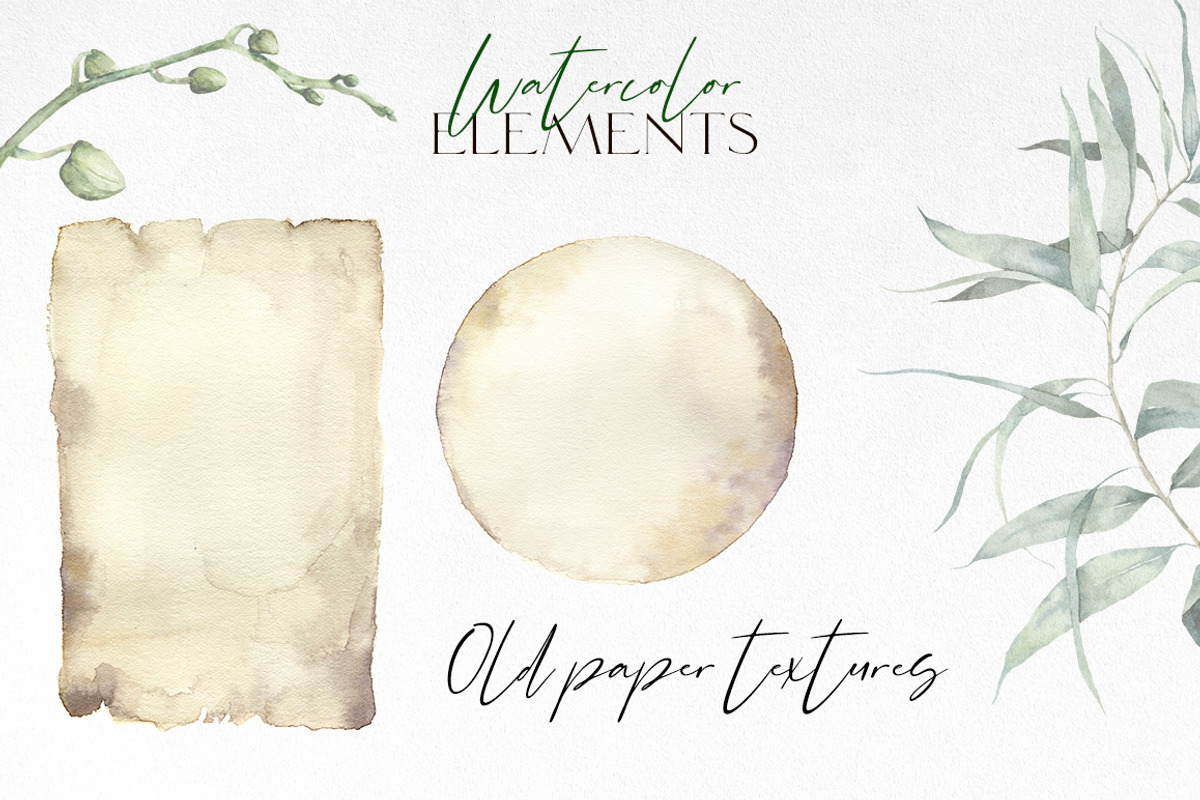 Orchid Watercolor flowers clipart, an Illustration by Yuliya Derbisheva (Photo 7 of 10)