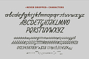 NeverDropped Handwritten Thin Script, a Script Font by Struvictory.art (Thumbnail 5 of 9)