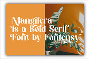 Mangifera Serif Eegant, a Serif Font by Cut Story (Thumbnail 3 of 12)