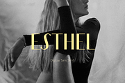Esthel, a Sans Serif Font by Larin Type Co. (Thumbnail 1 of 11)