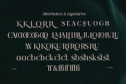 Qlaxe Serif – Update Italics, a Serif Font by Nollev (Thumbnail 2 of 14)