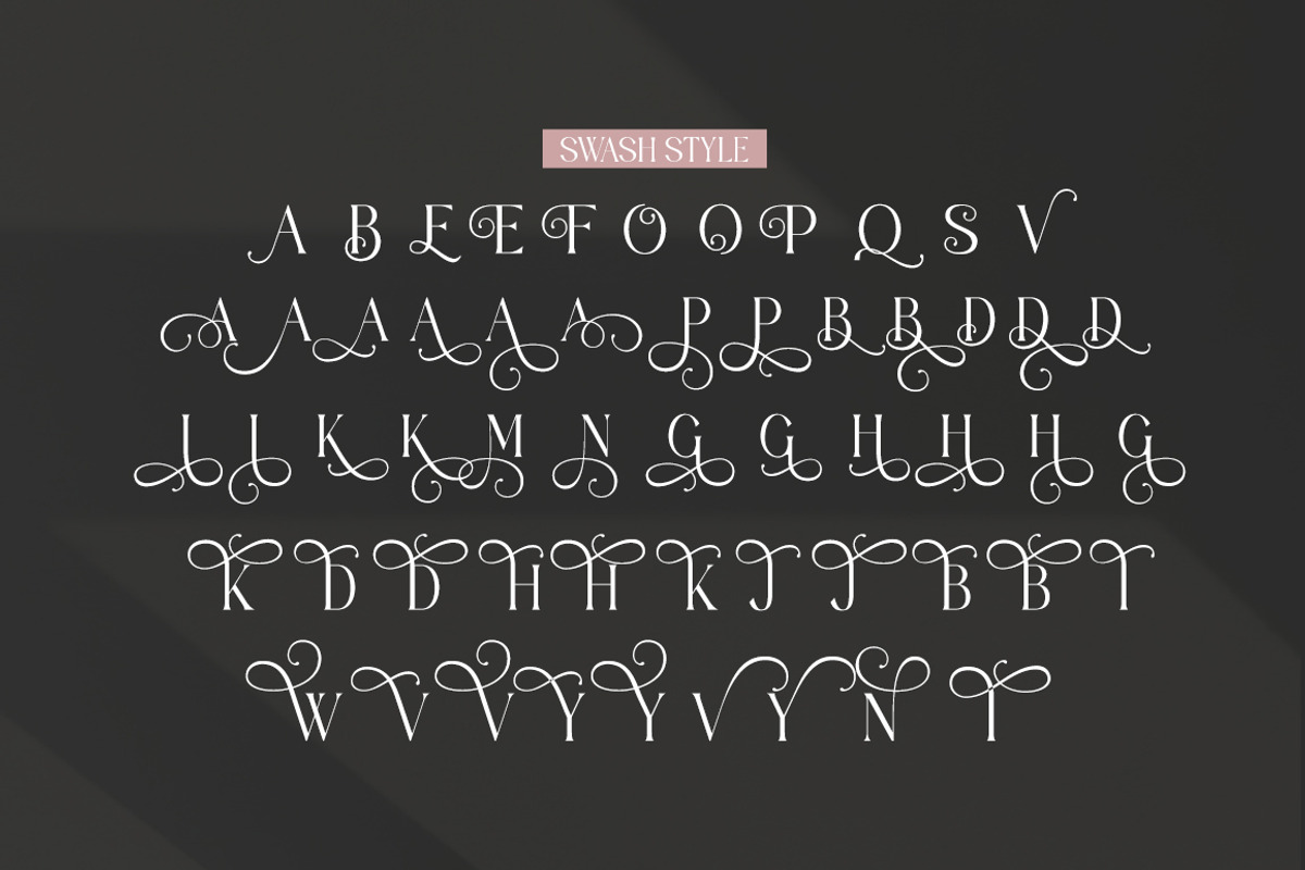 Angrela Display, a Serif Font by Gatype (Photo 9 of 11)