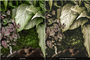 OLIVE TONES LIGHTROOM PRESETS, an Action Add-On by Nes Design Co (Thumbnail 3 of 12)