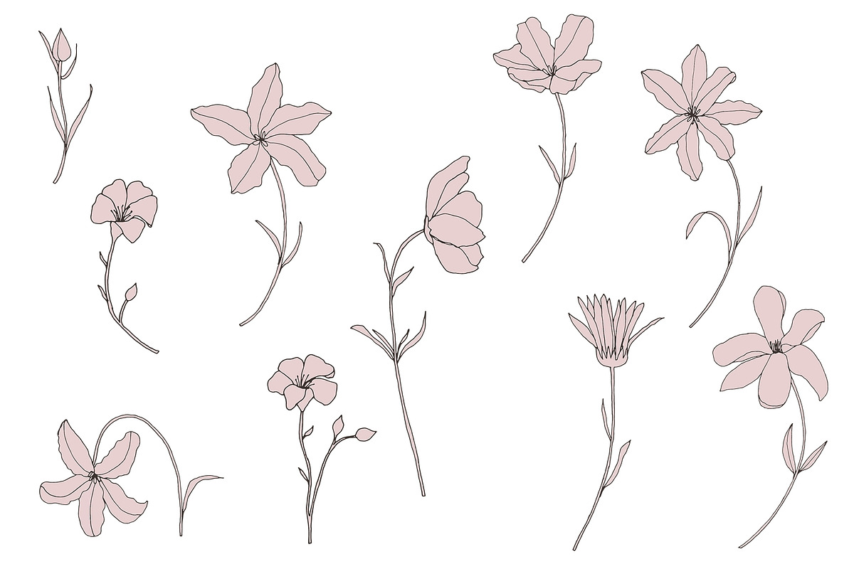 Dainty Floral Patterns Elements, a Pattern Graphic by Youandigraphics (Photo 11 of 17)