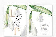 Watercolor Snowdrops, an Object Illustration by Olga Koelsch (Thumbnail 3 of 8)