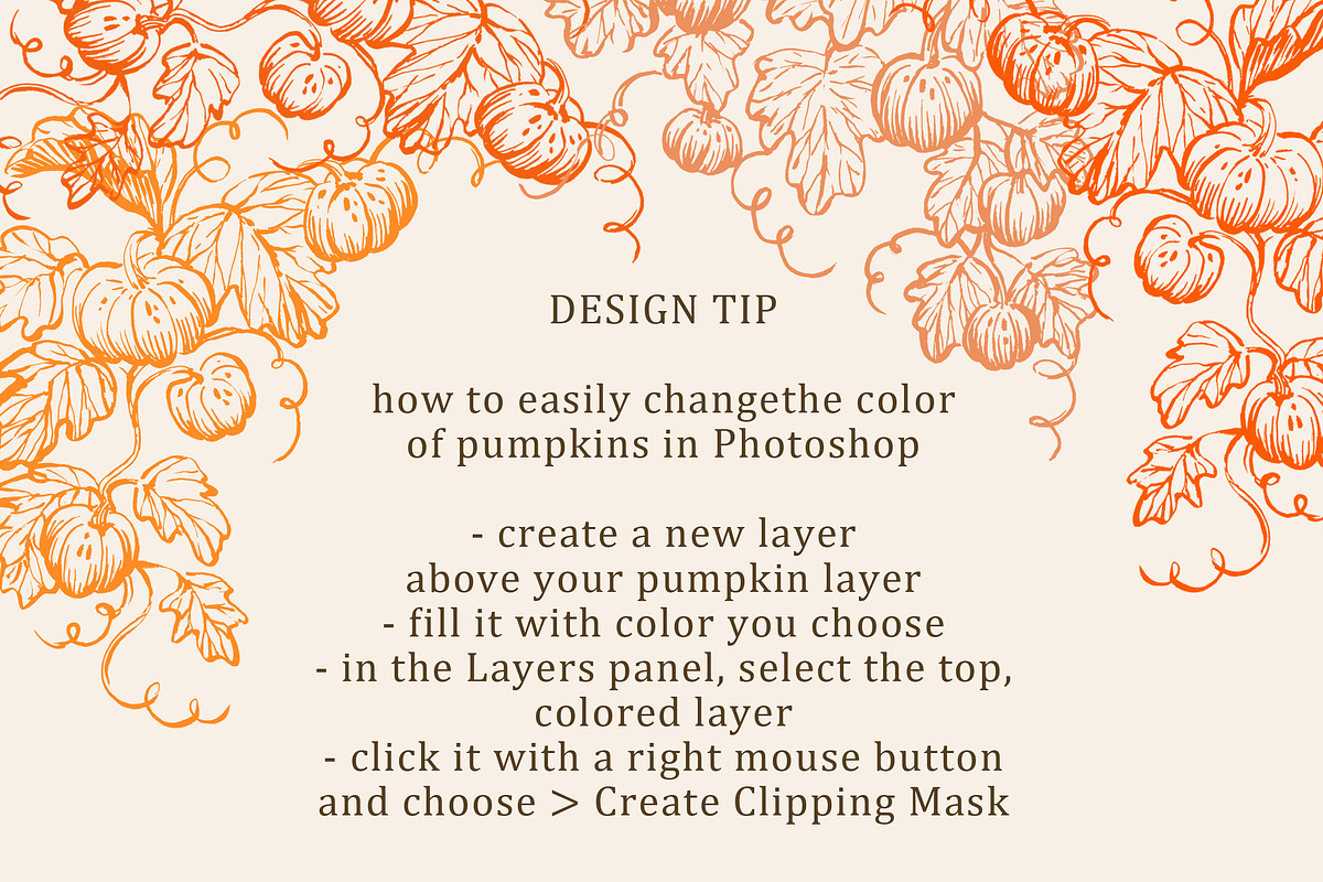 Hand drawn pumpkin illustration, a Decorative Illustration by swiejko (Photo 6 of 6)