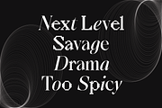 SS Default Lingo - Display Mix Font, a Serif Font by Typocracy Studio (Thumbnail 3 of 12)