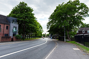 Quiet suburban road and tree lined street with residential build