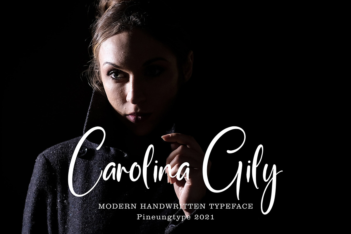 Ponha Danila, a Script Font by pineungtype (Photo 2 of 9)