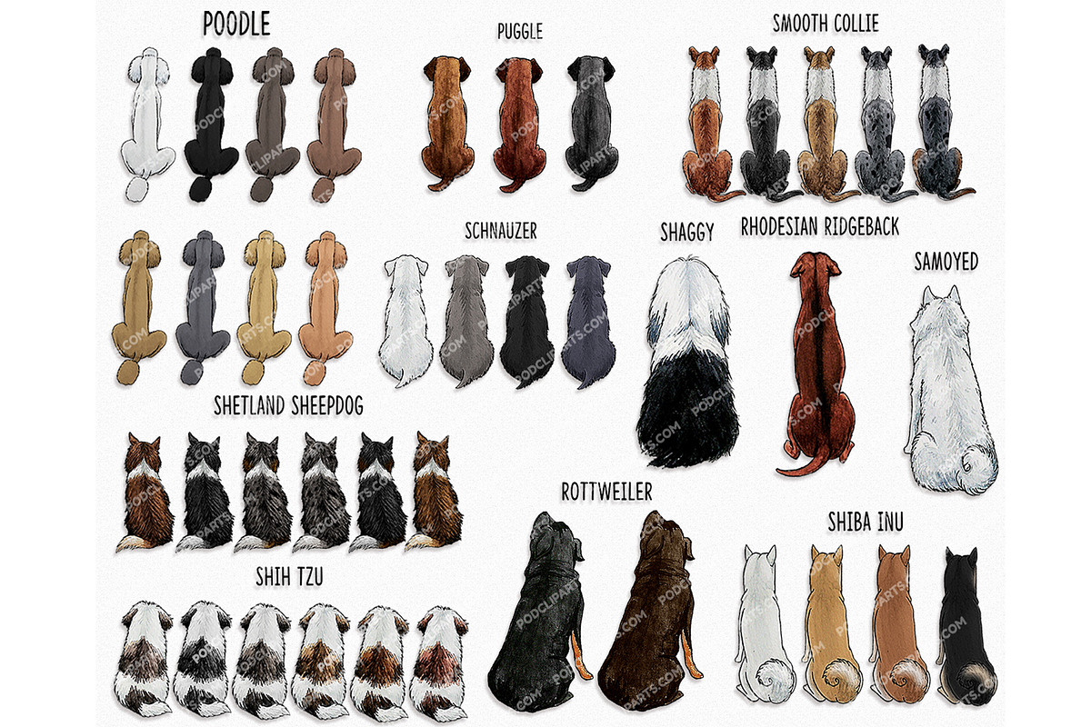 Dog Mom, Best friends Clipart PNG, a Person Illustration by Podcliparts (Photo 4 of 7)
