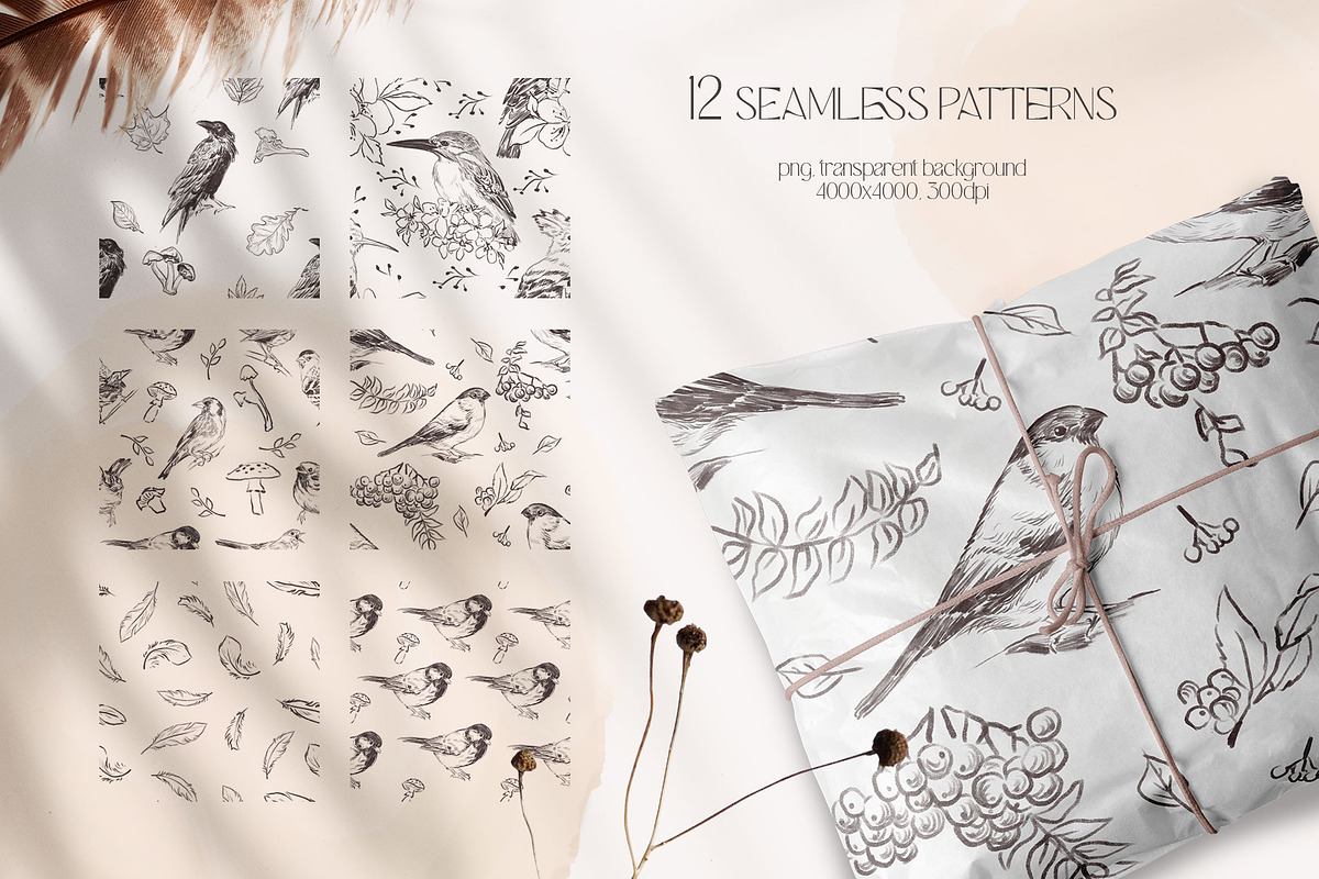 FOREST BIRDS sketches collection, an Animal Illustration by Yuliia Lashevska (Photo 5 of 10)
