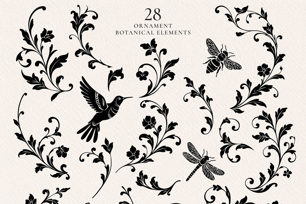 Baroque Ornament Collection, a Decorative Illustration by Papatongartist (Photo 10 of 14)