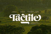 Briston Serif, a Serif Font by Fenotype (Thumbnail 12 of 14)