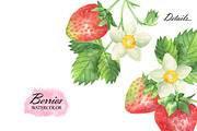 Wild Berry Watercolor Clipart, a Food Illustration by OlDm_Shop (Thumbnail 6 of 8)