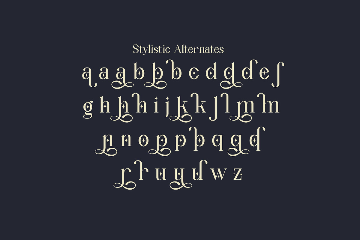 Wondernesia Nostalgic & Modern Serif, a Serif Font by Lettertype Studio (Photo 15 of 15)