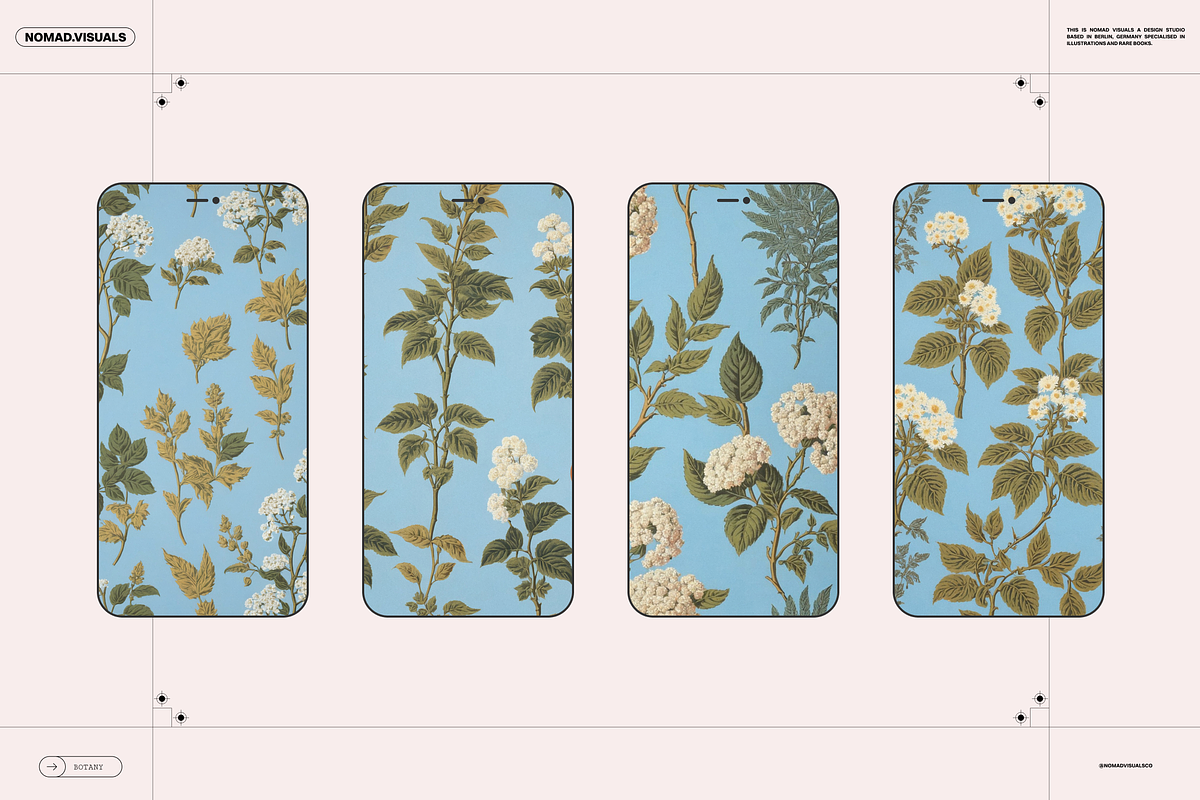 Plants & Flowers Illustrations, a Background Graphic by Nomad Visuals (Photo 4 of 14)