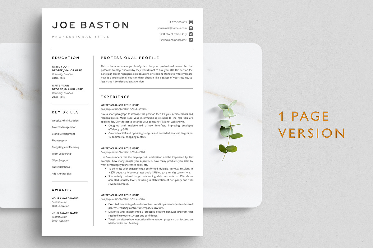 Professional Resume Template, a Resume Template by TheStandOutResume (Photo 2 of 10)