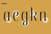 Spritely – Elegant Condensed Sans, a Sans Serif Font by Kevin Foley Fonts (Thumbnail 15 of 16)
