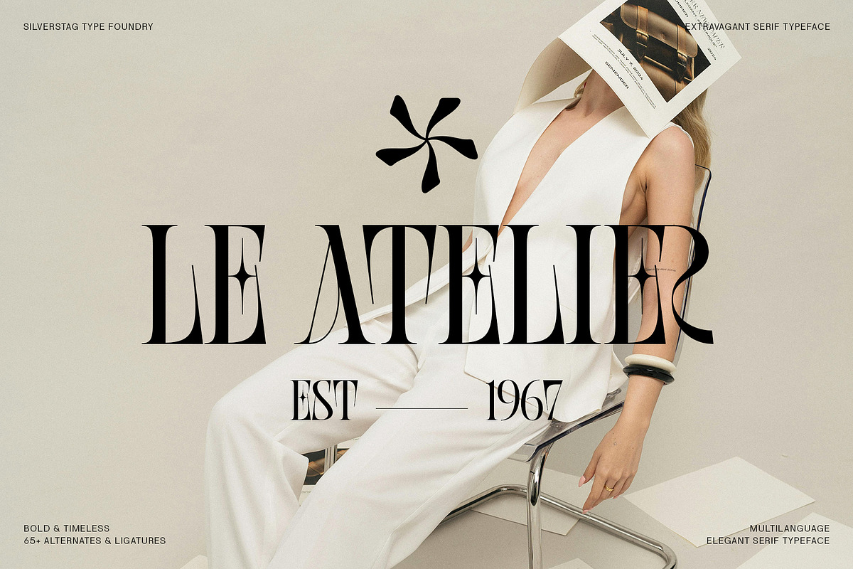 SLTF BOXROOM - Modern Serif Typeface, a Serif Font by SilverStag Type Foundry (Photo 2 of 30)