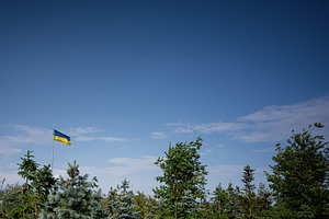 Ukrainian flag flying above lush green trees against a vivid blue sky, a Photo by AS photostudio