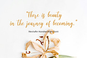nestafin, a Script Font by Realtype (Thumbnail 4 of 8)