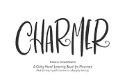 12 iPad Brushes (For Procreate), a Brush Add-On by Callie Rian & Co. (Thumbnail 7 of 13)