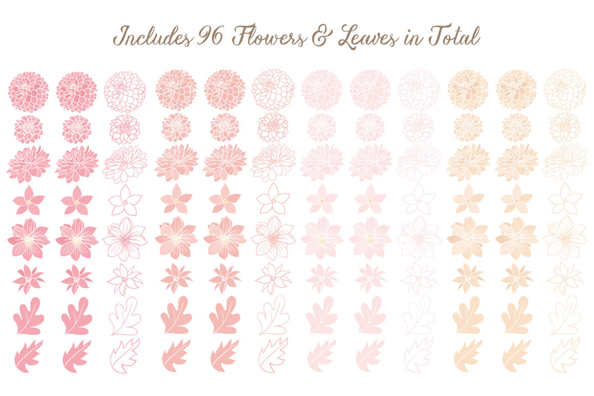 Soft Pink Dahlia Clipart & Vectors, an Illustration by Amanda Ilkov (Photo 4 of 4)