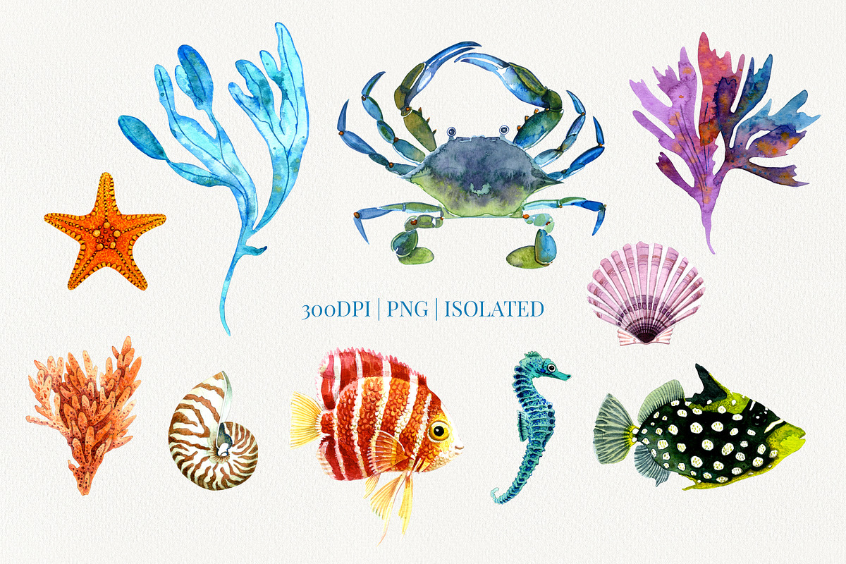 Marine Watercolor Clipart, an Animal Illustration by YarovaArt (Photo 3 of 19)