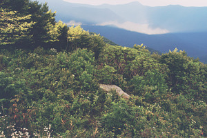 North Carolina Appalachian Mountains, a Nature Photo by Tamara Lance