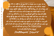 Joyland Delight Bold Calligraphy, a Script Font by stylishtype.co (Thumbnail 19 of 20)