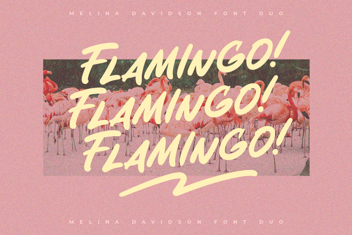 Melina Davidson - Organic Font Duo, a Handwritten Font by Letterhend Studio (Photo 11 of 11)