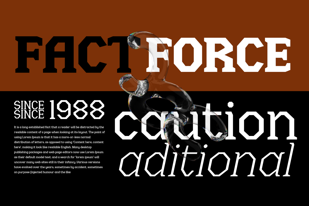 Menenga - Display Family, a Serif Font by Differentialtype (Photo 5 of 11)