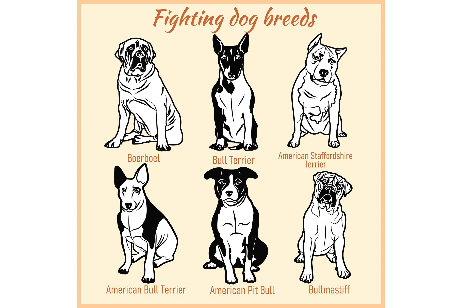 Fighting dogs breeds - vector set on, an Animal Illustration by Digital ...